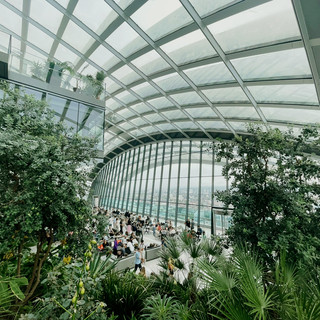 London's Sky Garden in the Walkie-Talkie Building: A Free, Priceless View of the Iconic Tower Bridge.