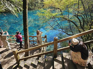 Real travel reviews of Jiuzhaigou Scenic Area: Magnificent waterscapes are a must-see, and practical tips are revealed.