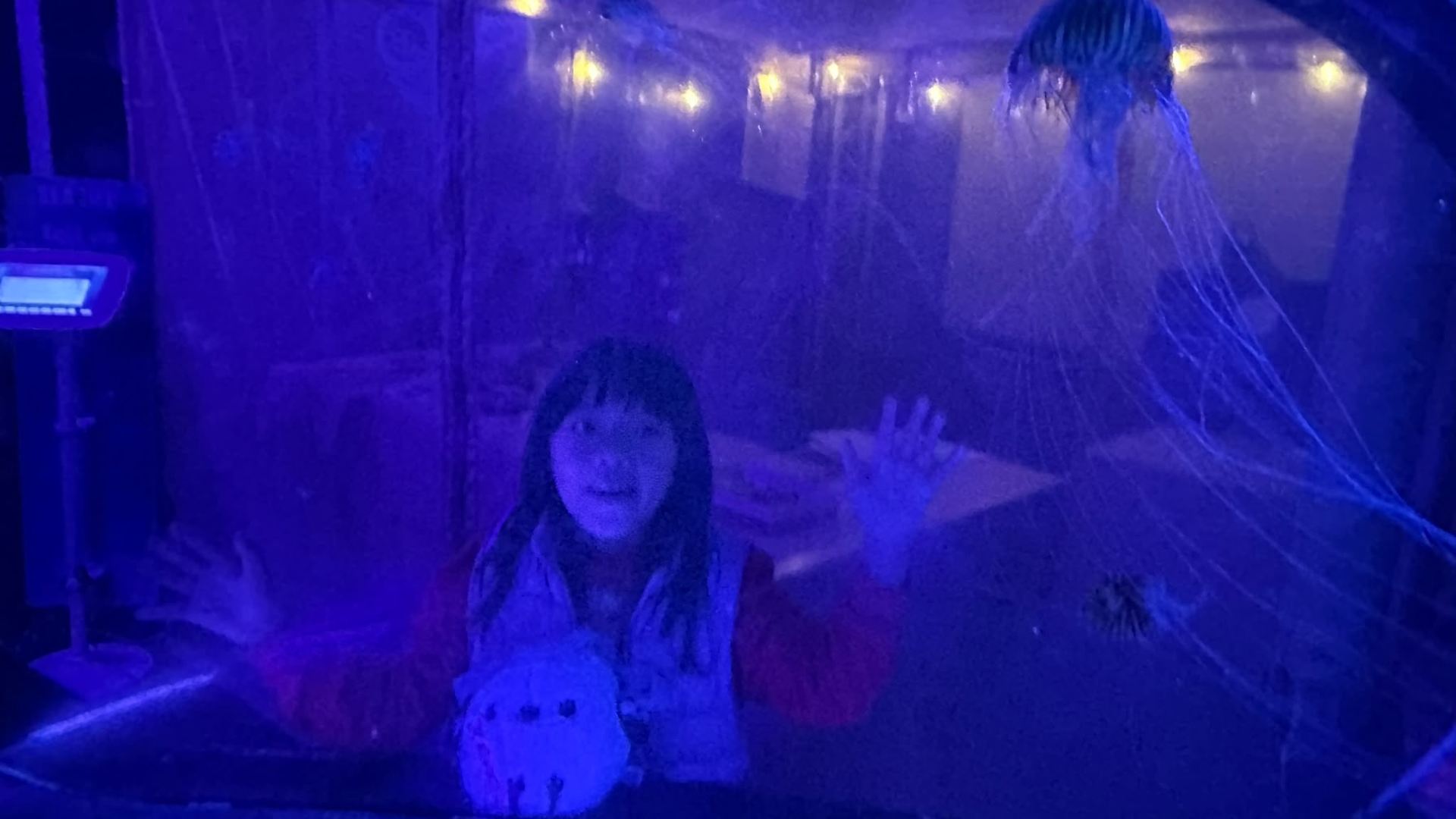 Effortless Visit to the National SEA LIFE Centre Birmingham
