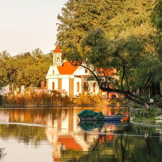 Shanghai Gongqing Forest Park🪵 Shanghai Gongqing Forest Park🪵