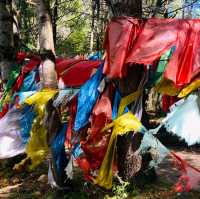 Scenic Monastry: Paoma Mt. Park Kangding 🇨🇳