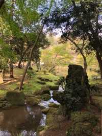Japan Trip | Travel Guide to Narita Temple