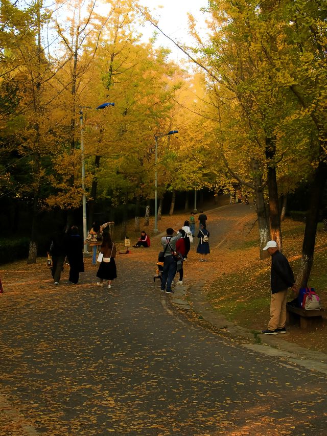 貴陽觀山湖公園打卡拍照太有氛圍感了