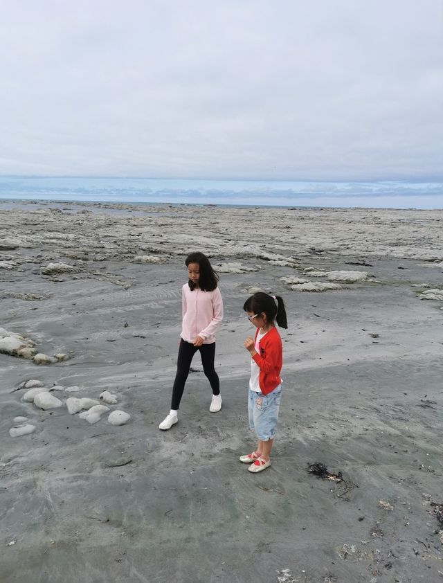 凱庫拉親子遊：自然奇觀與文化探索的完美家庭旅行指南