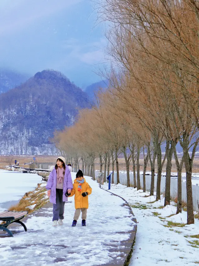 最初の雪が降った広州から最も近い森の雪原