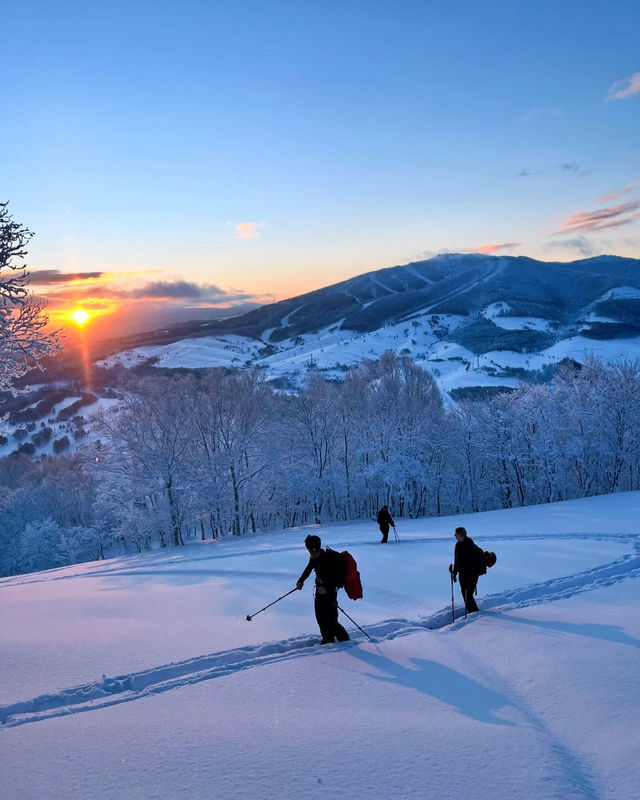5 Popular Ski Lessons in Hokkaido