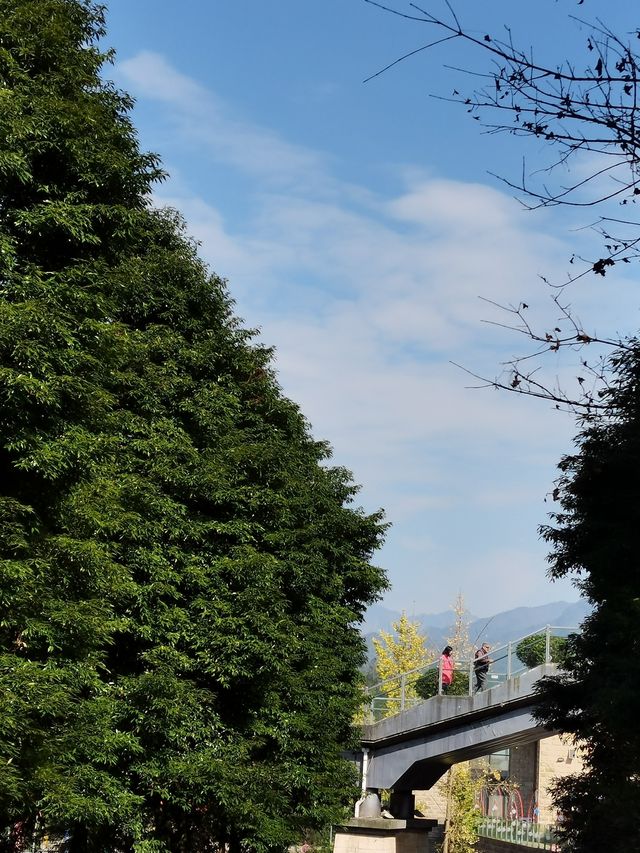 2023年10月花水灣溫泉之旅