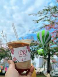 橫琴花海長廊異木棉開花啦！親子野餐好舒服~