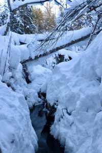 長白山超酷原生態探險體驗｜雪谷穿越、圍爐煮茶