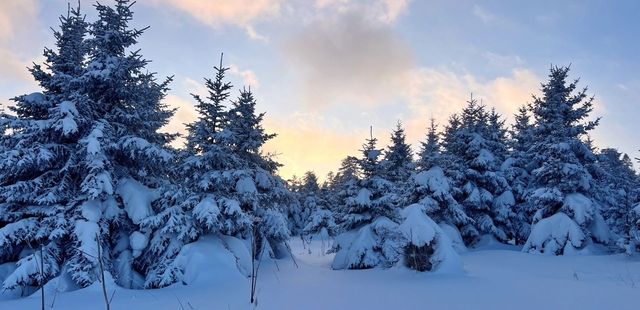 剛從來長白山雪嶺回來，強烈推薦小土豆寶們