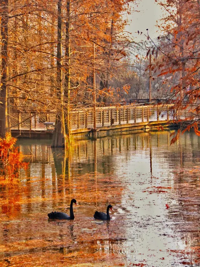 นี่คือครั้งแรกที่ฉันเห็นนักท่องเที่ยวน้อยเท่านี้ที่ Qing Shan Lake