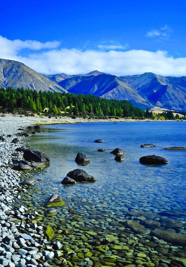 新西蘭純淨的治癒之國——南島之旅！