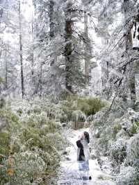 不是北海道去不起，而是成都3h看雪更性價比