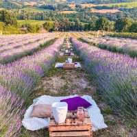 Capturing Perfect Moments at a Lavender Dinner in Italy 💜 Tag Your Companion and Join the Magic 