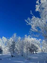雪谷民宿 ｜狠狠鎖住他們家！在東北絕對找不出第二家！！
