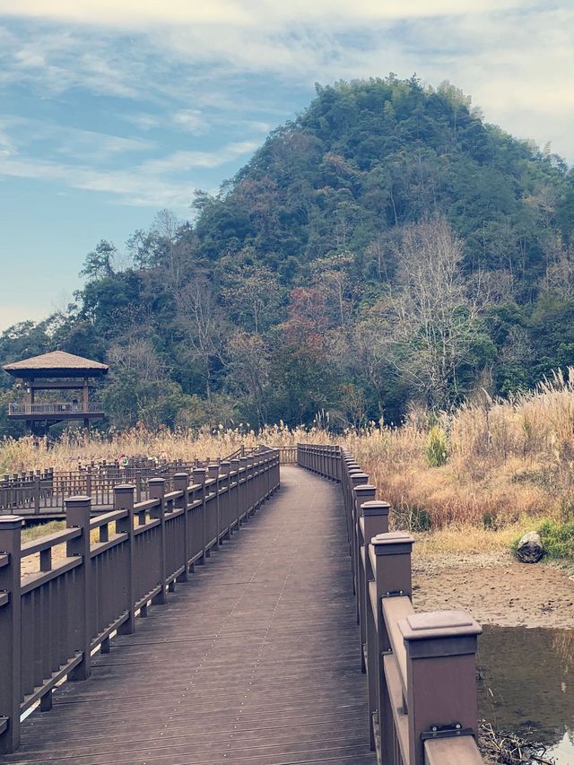 冬遊諸暨，西施故里，一方水土，養一方美人