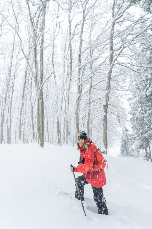 不滑雪了雪國邂逅美人林 雪地徒步進森林