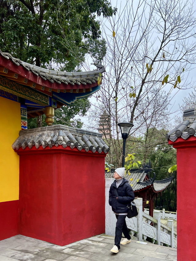 南充一日遊｜不花錢的景區真的可以看海