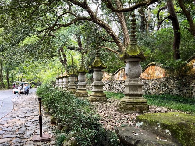 在稻子黃柿子紅的時節去國清寺啦