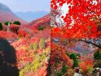 泼染山紅景色好，不是香山勝香山"石門坊