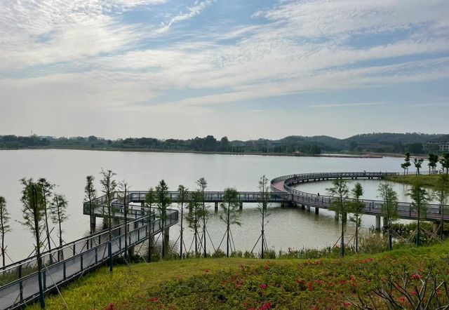 身邊的風景，集“萬千功能於一體”的市級公園！！