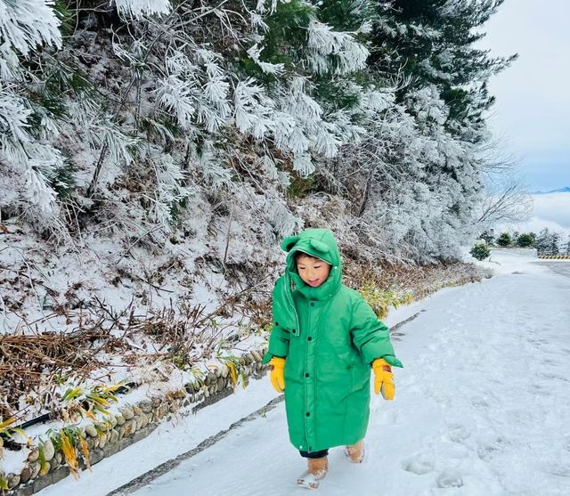 九宮山初雪|武漢周邊不容錯過的霧凇美景