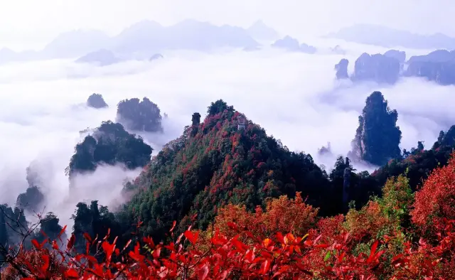 There is only one Zhangjiajie in the world, and there is only one you