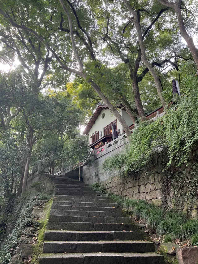 Hangzhou West Lake | Friends coming for the Asian Games must go up to the Gem Mountain to see the West Lake~