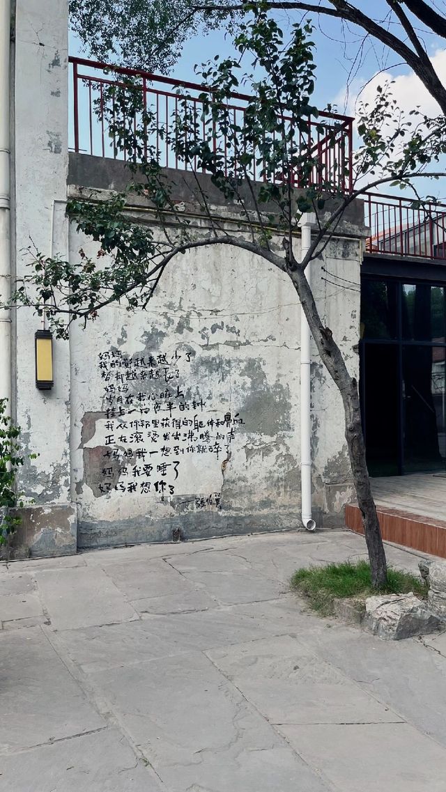 郑州週末小記|citywalk第二站! 郑州週末小記|citywalk第二站!
