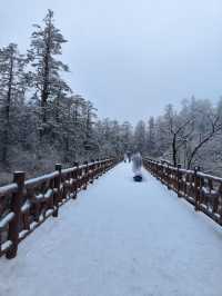 姊妹們！實拍瓦屋山又又又下雪啦