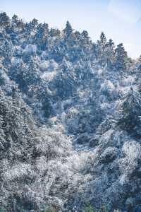 廣州周邊看雪聖地，雲端賞冰雪霧凇奇觀