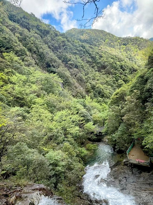 小眾旅遊地百山祖