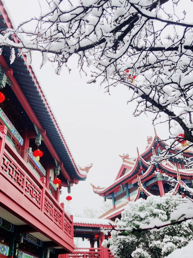 綿陽的雪：冬日童話