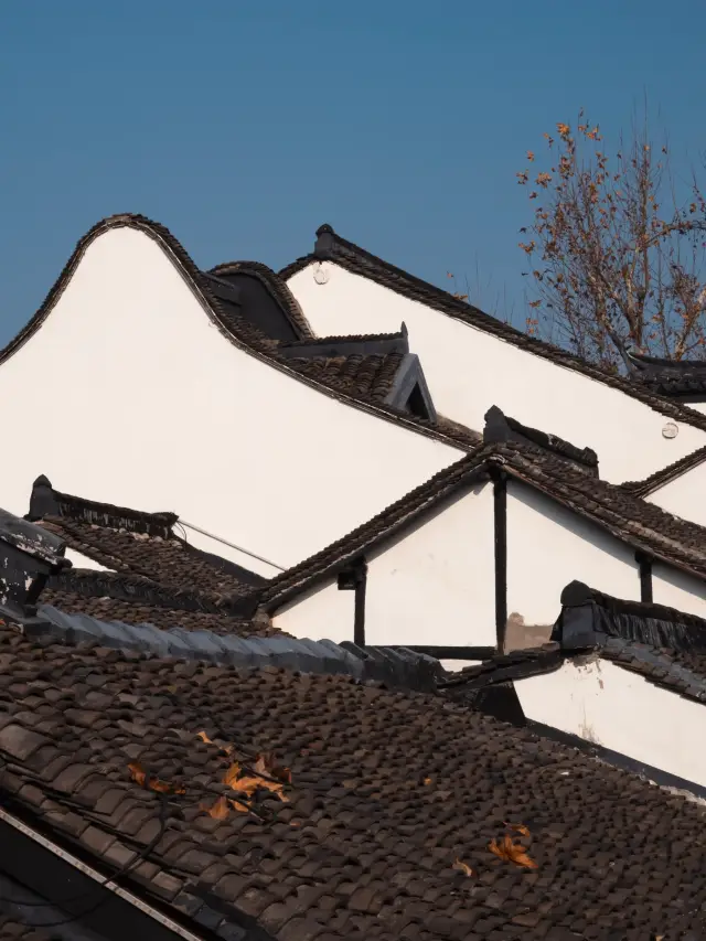 Jiading Zhouqiao Old Street | The most unique old street scenery