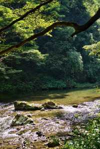 貴州開陽紫江地縫遺忘的荒廢喀斯特地貌