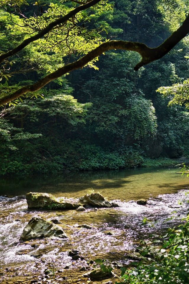 貴州開陽紫江地縫遺忘的荒廢喀斯特地貌