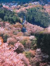 吉野山，三萬株櫻花綻放的浪漫