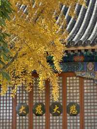發現北京四季之美·雲居寺