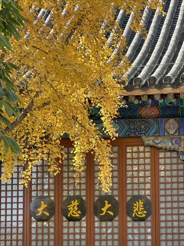 發現北京四季之美·雲居寺