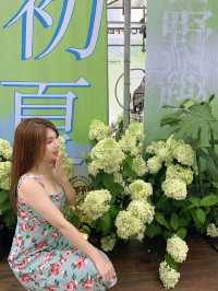 是我喜歡的花花🌸世界呀😍