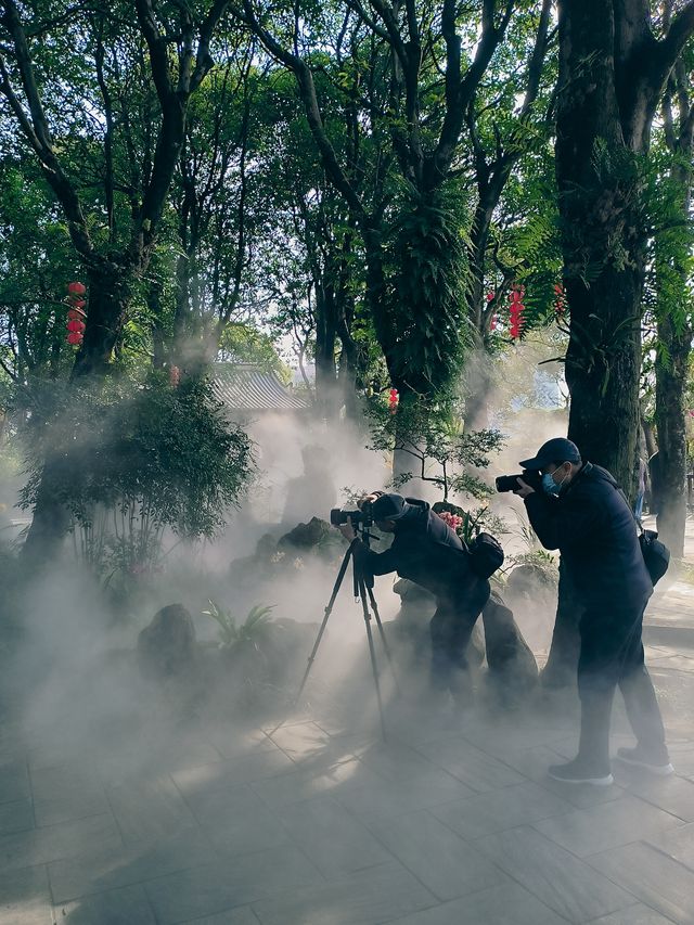 春節去了趟於山蘭花展，以為到了仙境