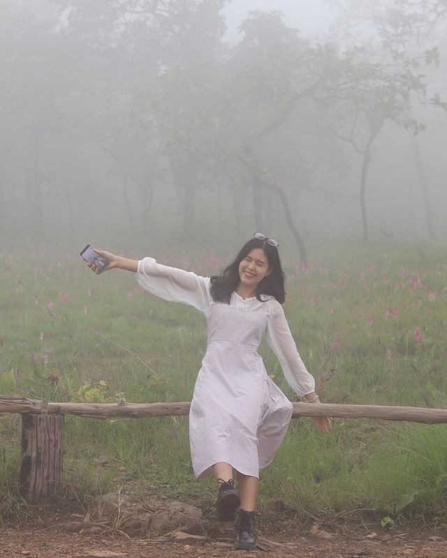In my dream//เหมือนหลุดไปอยู่ในความฝัน🌷💖✨🫶🏻🌸