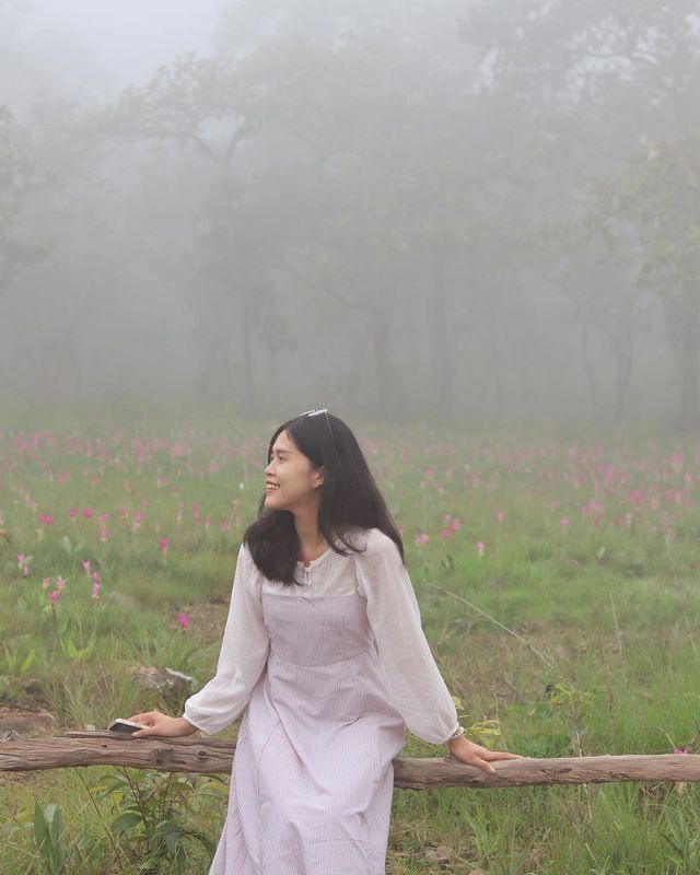 In my dream//เหมือนหลุดไปอยู่ในความฝัน🌷💖✨🫶🏻🌸