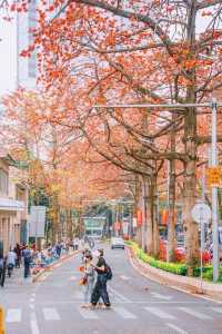 廣州拍照·離開廣州前一定要去一次陵園西路！