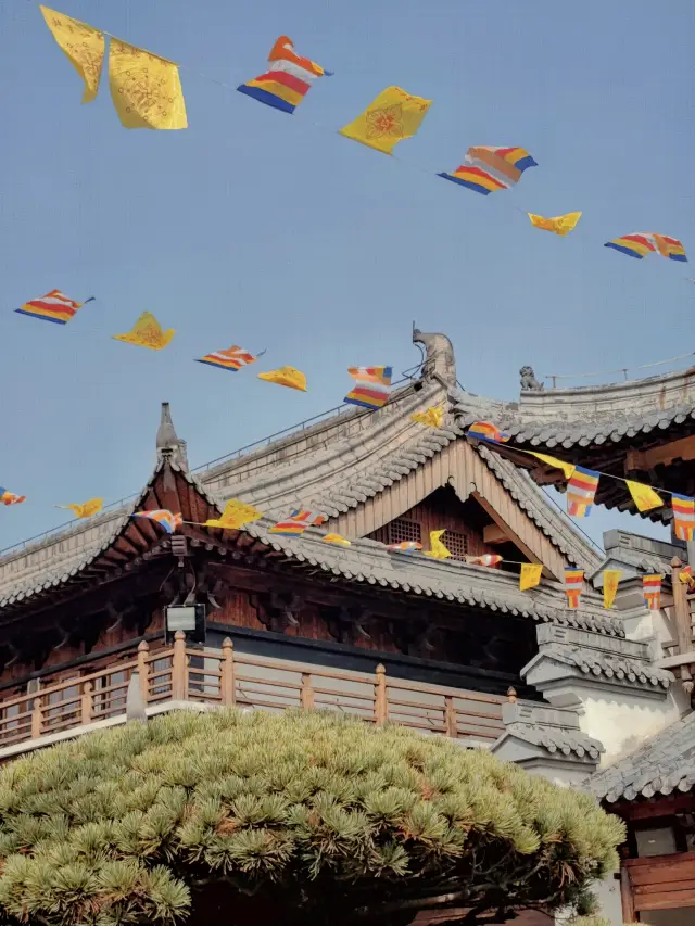 求自在滅三害，去逛逛真如寺