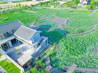 漕涌郊野公園，值得擁有