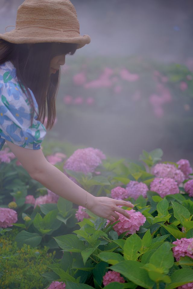 來排個名看看魔都哪裡的無盡夏最好拍！