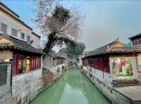 上海周邊｜錦溪古鎮和大觀園一日遊