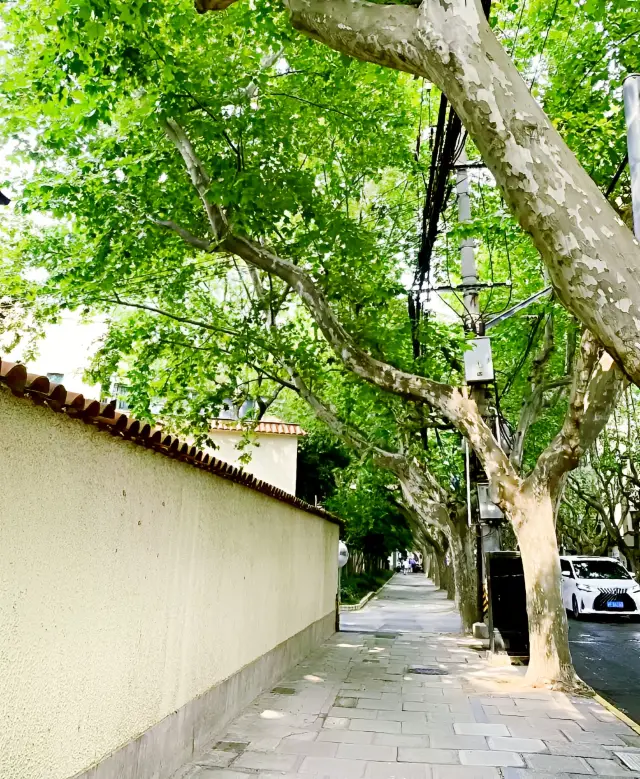 Roaming Shanghai - Hengfu Style Museum