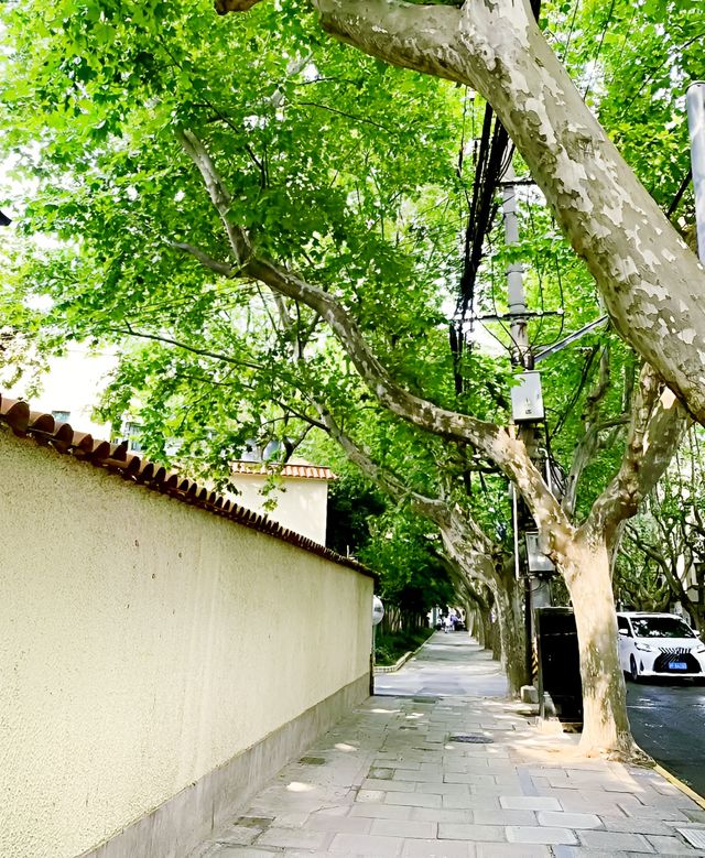 漫遊上海—衡復風貌館